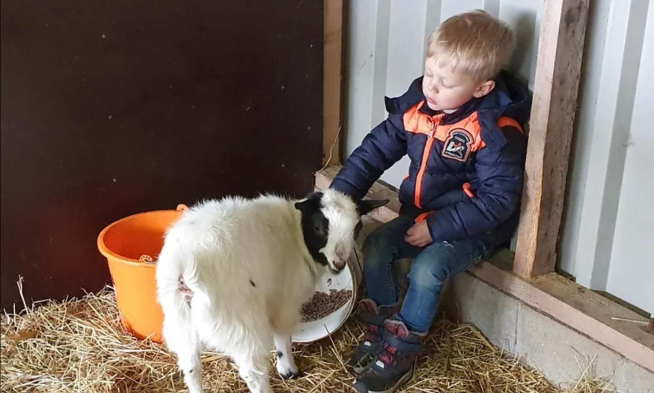 Vakantieboerderij Huize Nuis Noordbeemster Eksteriør bilde