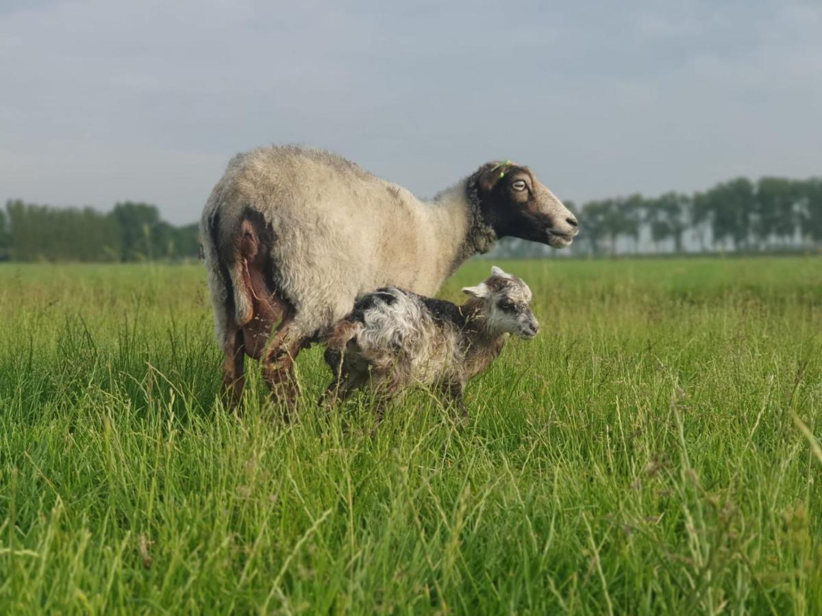 Vakantieboerderij Huize Nuis Noordbeemster Eksteriør bilde